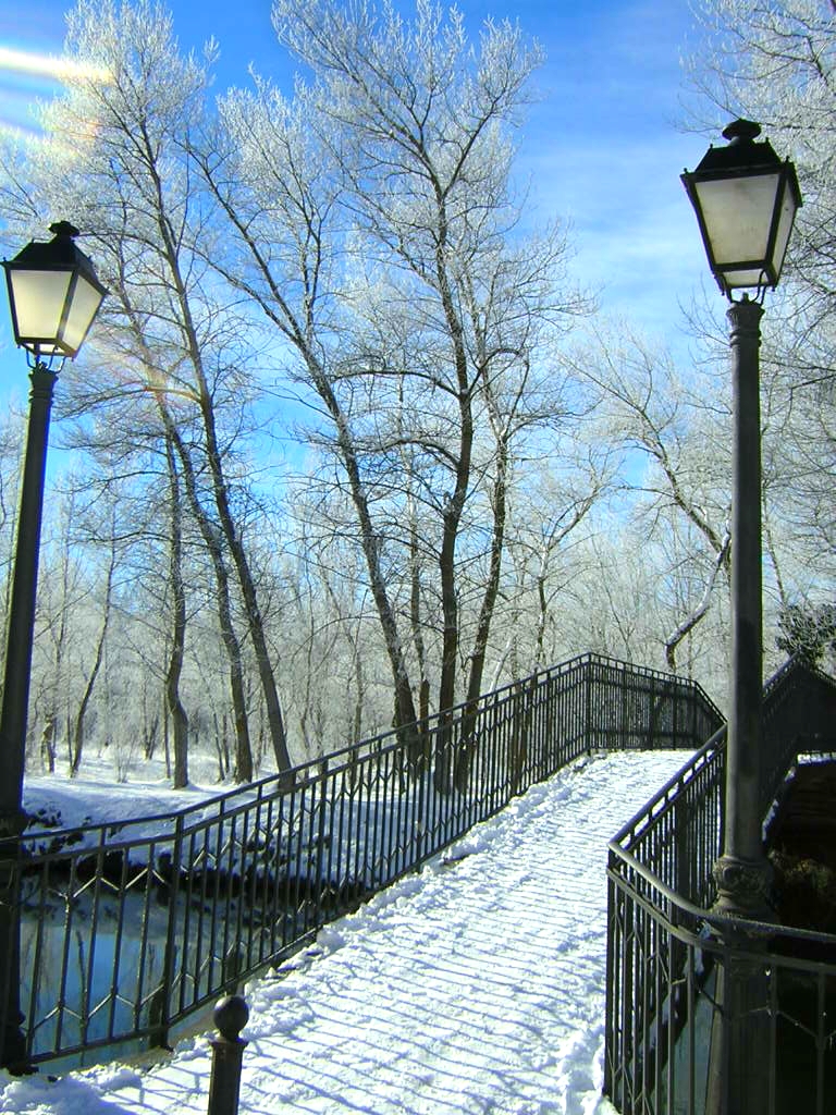 Enemigo que huye...puente de hielo